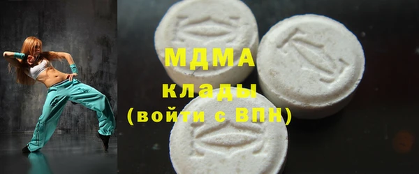 гашик Алексин